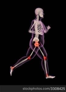 3D render of an overweight female skeleton running showing pressure points on joints
