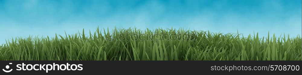 3D Render of Green Grass isolated on blue sky