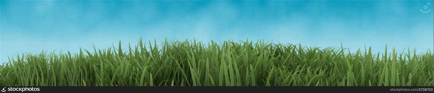 3D Render of Green Grass isolated on blue sky