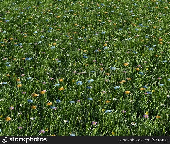 3D render of spring flowers in a meadow
