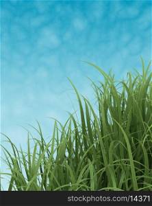 3D render of Spring Grass on Blue Sky