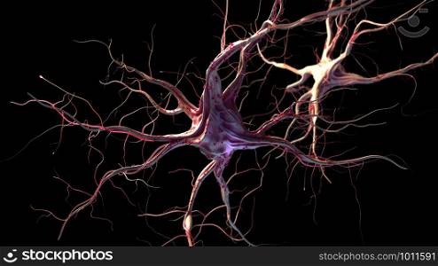 3d rendered illustration of nerve cells. Neurons and nervous system