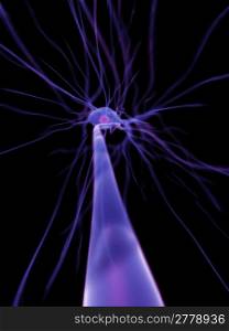 3d rendered scientific illustration of a human nerve cell
