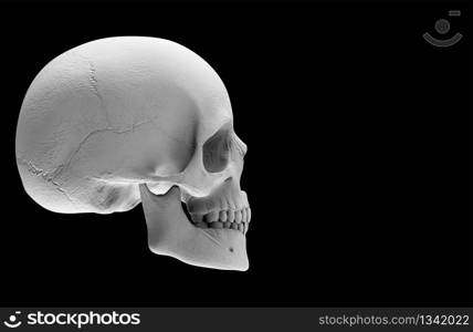 3d rendering. A Halloween human head skull bone isolated on black background.