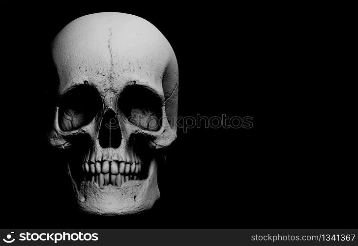 3d rendering. A horror human head skull bone on black background. Halloween banner concept.