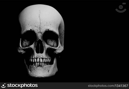 3d rendering. A horror human head skull bone on black background. Halloween banner concept.