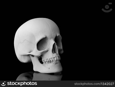 3d rendering. A human head skull bone with reflection on black background.