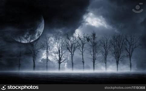 3D rendering abstract dark forest. Gloomy dark scene with trees, big moon, moonlight. Smoke, shadow. Abstract dark, cold street background. Night view.