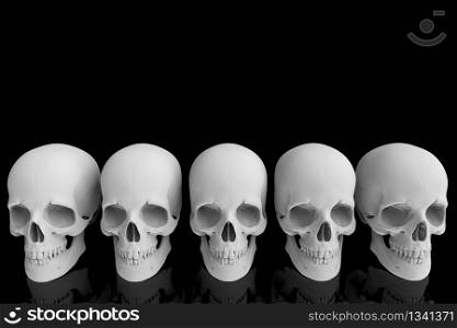 3d rendering. human head skull bone row with reflection on black background.