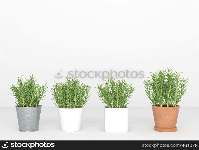 3d rendering little trees stand in a line