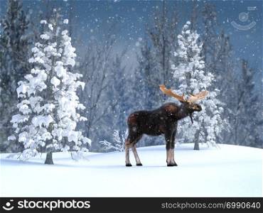 3D rendering of a majestic moose or elk in a winter landscape on a serene sunny day, surrounded by magical snow.. 3D rendering of a majestic moose in a winter landscape.