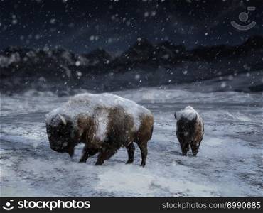 3D rendering of two majestic bison or buffalo in a winter landscape surrounded by snow.. 3D rendering of two majestic bison in a winter landscape.