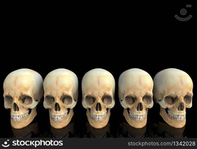 3d rendering. old human head skull bone row with reflection on black background.
