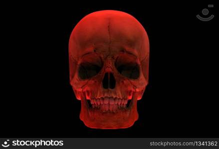 3d rendering. Red Human Head skull bone isolated on black background. Horror Halloween concept.