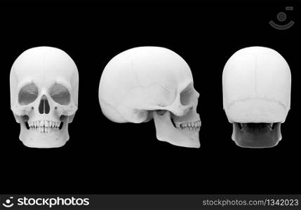 3d rendering. Set of three side of human head skull bone isolated on black background.