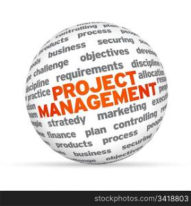3D sphere with the word Project Management on white background.