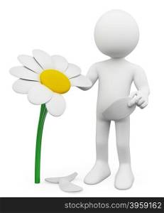 3d white people. Man tears off petals of daisy. Concept of choosing. Isolated white background.
