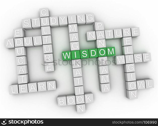 3d Wisdom Concept word cloud