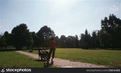 3of15 People working as dog-sitter, girl with alsatian dogs in park. Dog walking, wide shot