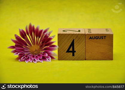 4 August on wooden blocks with a pink and white aster on a yellow background