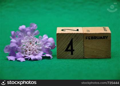 4 February on wooden blocks with a purple flower on a green background