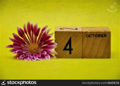 4 October on wooden blocks with a pink and white aster on a yellow background