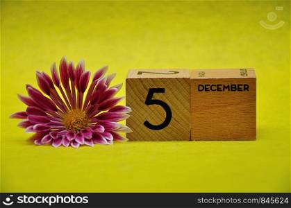 5 December on wooden blocks with a pink and white aster on a yellow background