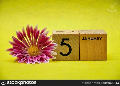 5 January on wooden blocks with a pink and white aster on a yellow background