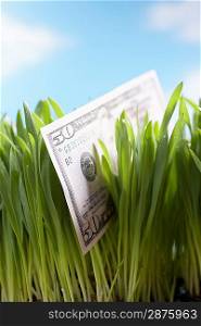 50-Dollar Bill in Grass