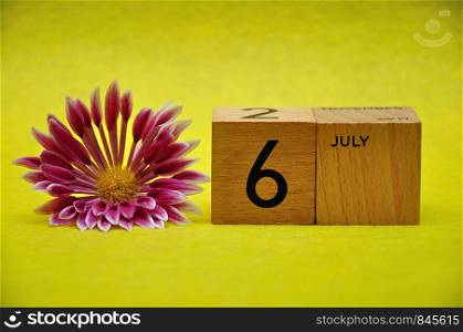 6 July on wooden blocks with a pink and white aster on a yellow background