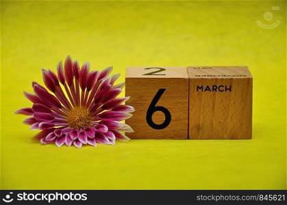 6 March on wooden blocks with a pink and white aster on a yellow background