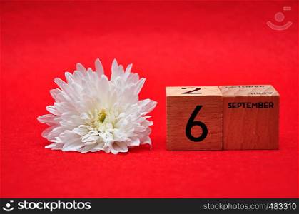 6 September on wooden blocks with a white daisy on a red background