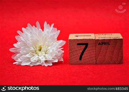 7 April on wooden blocks with a white daisy on a red background