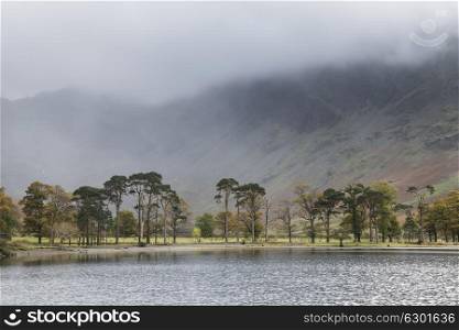 71020553 - stunning autumn fall landscape image of lake buttermere in lake district england