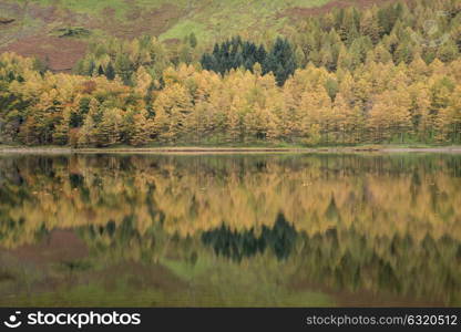 71022550 - stunning autumn fall landscape image of lake buttermere in lake district england
