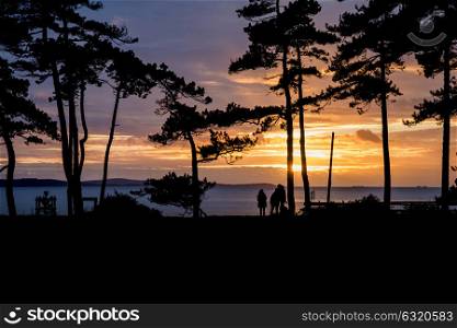 71023060 - stunning sunset silhouette of trees and sea in background