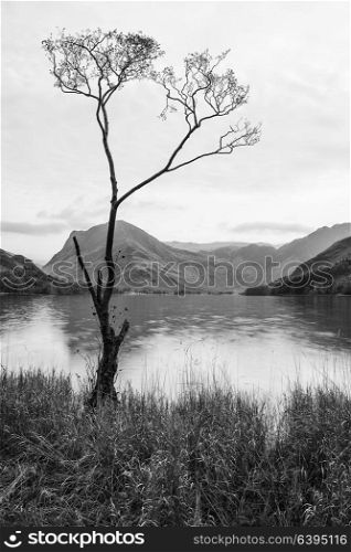 71023063 - stunning black and white autumn fall landscape image of lake buttermere in lake district england