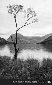 71023063 - stunning black and white autumn fall landscape image of lake buttermere in lake district england