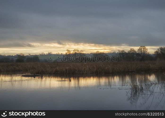 71426646 - beautiful winter sunset over wetlands lake landscape