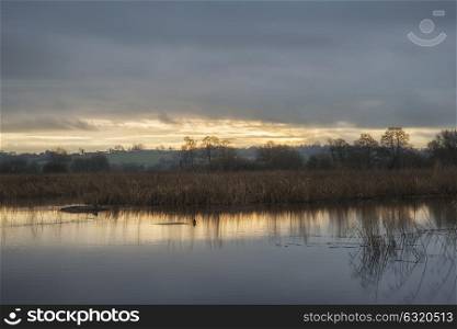 71426646 - beautiful winter sunset over wetlands lake landscape