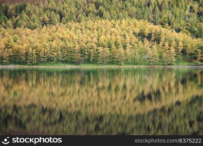 71944719 - stunning autumn fall landscape image of lake buttermere in lake district england
