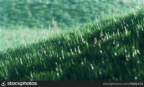 8K green grass field on hills background
