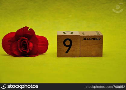 9 December on wooden blocks with a red flower on a yellow background