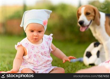 9 months old infant baby girl sits alone in garden grass in colorful blanket. Beagle dog in background blue hat pink flower and summer dress. Sunny Summer day portrait