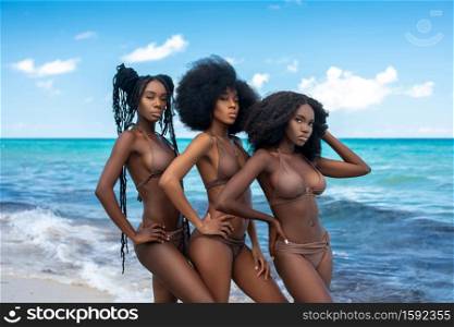 A 3/4 portrait of 3 sensual looking young attractive black females with gorgeous makeup and beautiful Black hair styles posing by themselves at the beach wearing brown bathing suits.