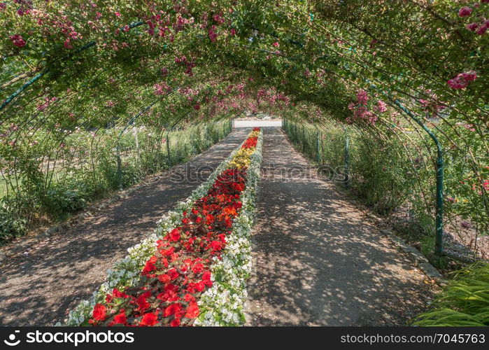 A arbor of Roses covers a center garden at Point Defiance Park in Tacoma, Washington.