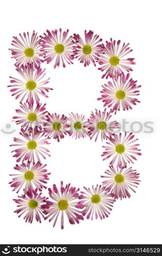 A B Made Of Pink And White Daisies