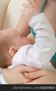 A baby being breastfed