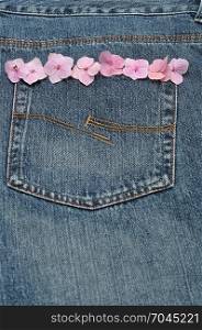 A back pocket of a denim jeans where the seam is decorated with pink Hydrangea flowers