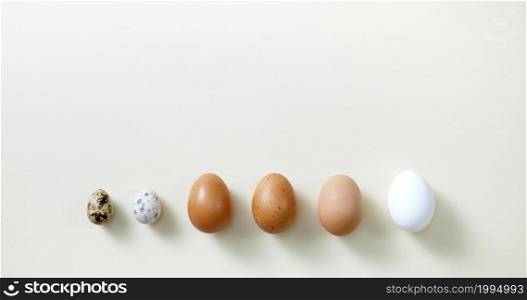 A background photo with various eggs